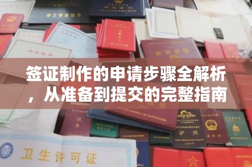 城北签证制作的申请步骤全解析，从准备到提交的完整指南