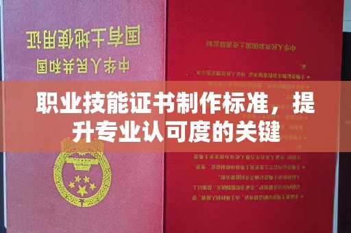城北职业技能证书制作标准，提升专业认可度的关键